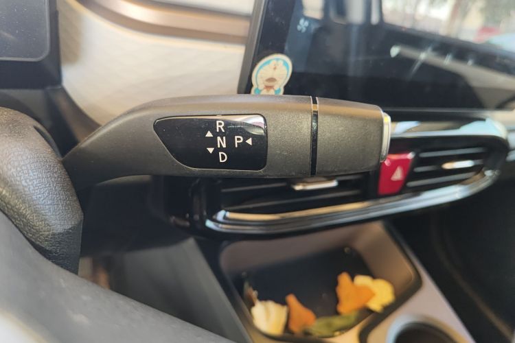 思皓 2022款 花仙子款 四叶草局部细节18