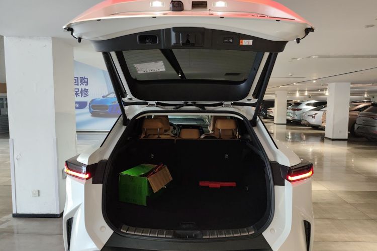 雷克萨斯RZ 2023款 450e 四驱纵享版机舱底盘23