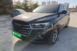 哈弗H6 2021款 国潮版 1.5T 自动冠军版