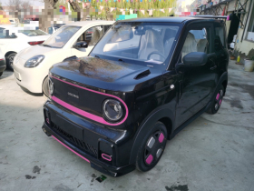 吉利银河 2025款 210km 熊猫卡丁