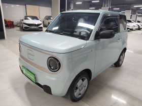 吉利银河 2023款 熊猫mini 200km 耐力熊