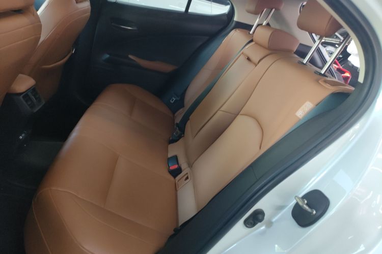 雷克萨斯UX新能源 2020款 300e 纯·悦版中控内饰21