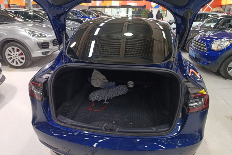 特斯拉 Model 3 2020款 改款 长续航后轮驱动版局部细节23