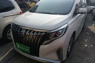 广汽传祺 传祺M8 2020款 领航款 390T 尊享版