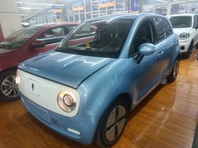 欧拉黑猫 2019款 301km 标准版