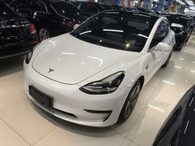 特斯拉 Model 3 2020款 标准续航后驱升级版