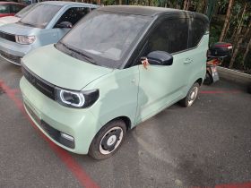 五菱汽车 宏光MINIEV 2022款 马卡龙时尚款 三元锂