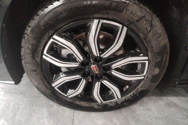 红旗HQ9 2024款 2.0T 商务版车身外观6007