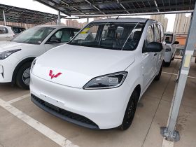 五菱汽车 五菱宏光新能源 2024款 纯电版 300KM 标准型