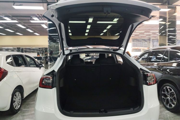 特斯拉 Model Y 2021款 长续航全轮驱动版 3D7机舱底盘23