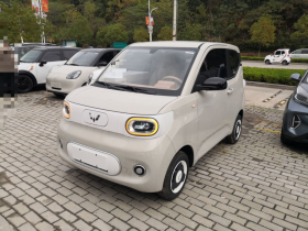 五菱汽车 宏光MINIEV 2024款 第三代 215km 青春版