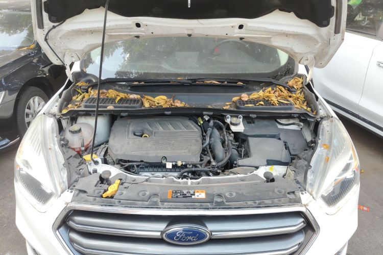 福特 翼虎 2019款 EcoBoost 180 两驱铂翼型 国VI机舱底盘24