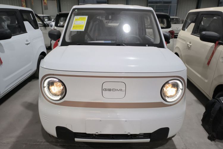 吉利银河 2024款 熊猫mini 200km 耐力熊车身外观2