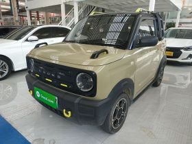 吉利银河 2024款 200km 熊猫骑士