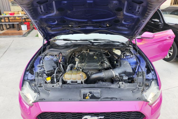 福特Mustang（平行进口） 局部细节24