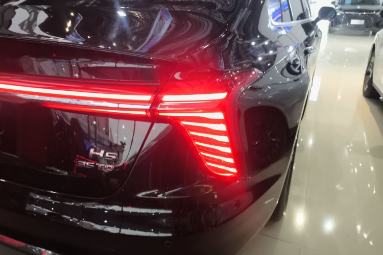 红旗H5 2024款 1.5T DCT智联旗韵版车身外观9