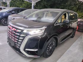 腾势D9 2024款 DM-i 980 四驱旗舰型