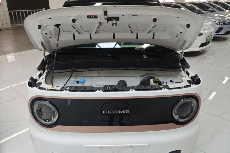 吉利银河 2023款 熊猫mini 新春版宝藏熊局部细节24