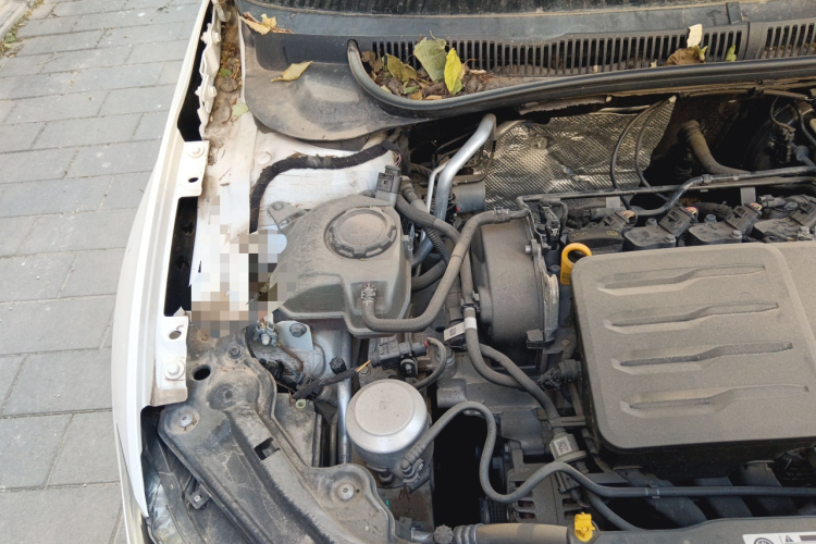 大众 Polo 2019款 Plus 1.5L 自动炫彩科技版局部细节9006