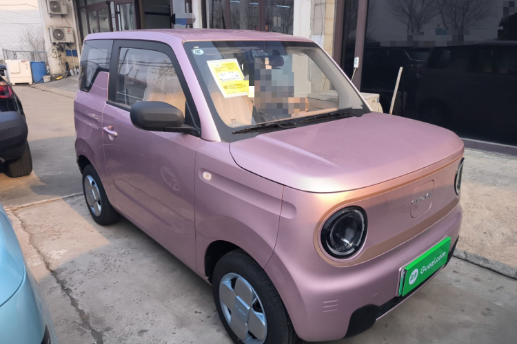 吉利银河 2024款 熊猫mini 200km 耐力熊车身外观3
