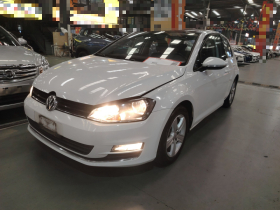 大众 高尔夫 2016款 1.6L 自动舒适型