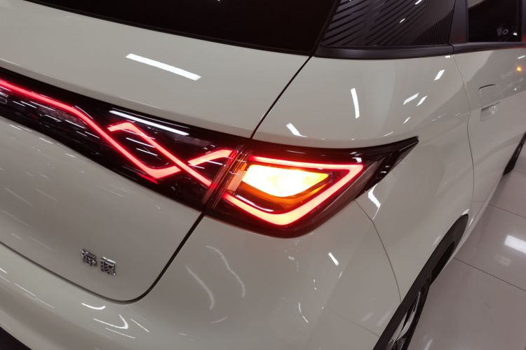 比亚迪 海豚 2024款 荣耀版 420km 时尚版车身外观6001