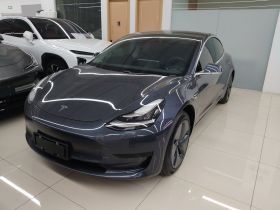 特斯拉 Model 3 2019款 标准续航后驱升级版