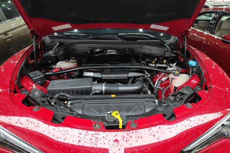 阿尔法·罗密欧 Stelvio斯坦维 2017款 2.0T 200HP 精英版机舱底盘24