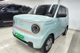 吉利银河 2024款 熊猫mini 200km 耐力熊