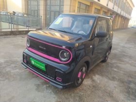 吉利银河 2025款 210km 熊猫卡丁