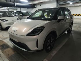 五菱汽车 缤果S 2025款 325km 尊享款