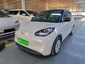 五菱汽车 五菱缤果 2023款 333km 快享款