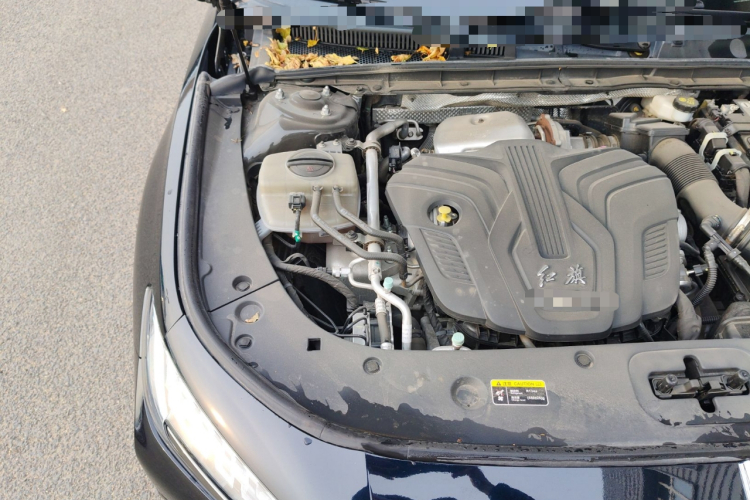 红旗H6 2023款 2.0T 致逸版局部细节9006