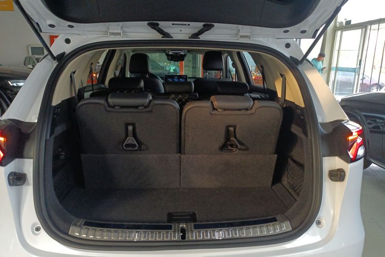 比亚迪 唐 2019款 2.0T 自动智联尊悦型 7座 国VI机舱底盘23