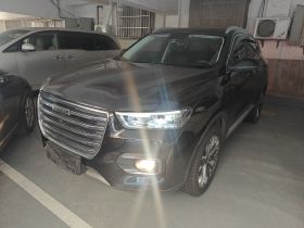 哈弗H6 2020款 1.5GDIT 自动铂金冠军版