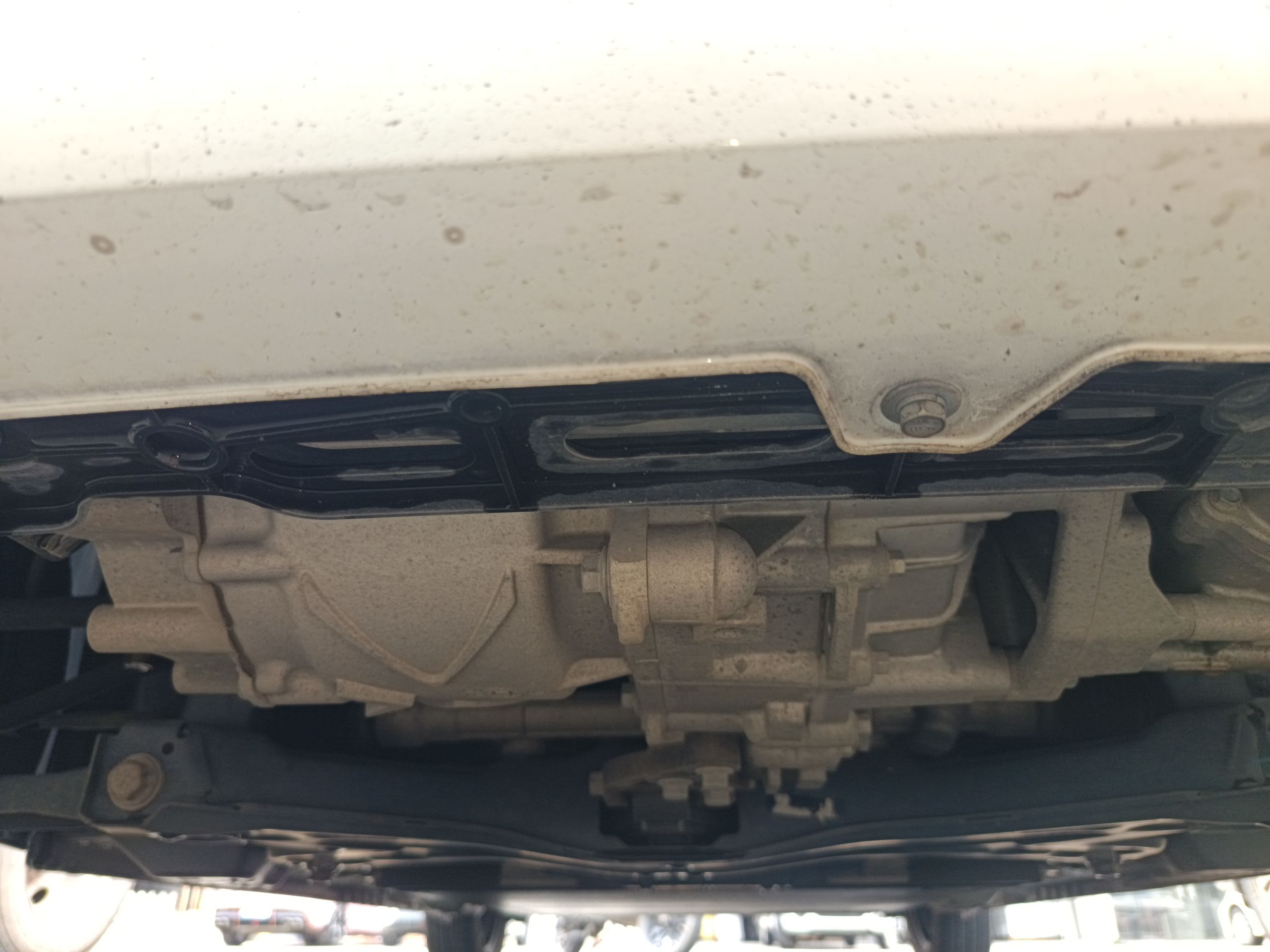 欧拉黑猫 2021款 301km 萌宠版