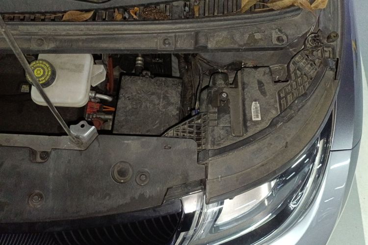 比亚迪 海豚 2021款 405km 自由版局部细节9007