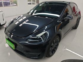 特斯拉 Model Y 2024款 Performance高性能版