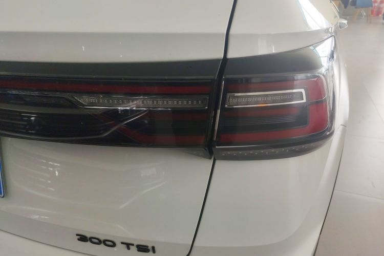 大众 途岳 2024款 300TSI 两驱月尊版车身外观9