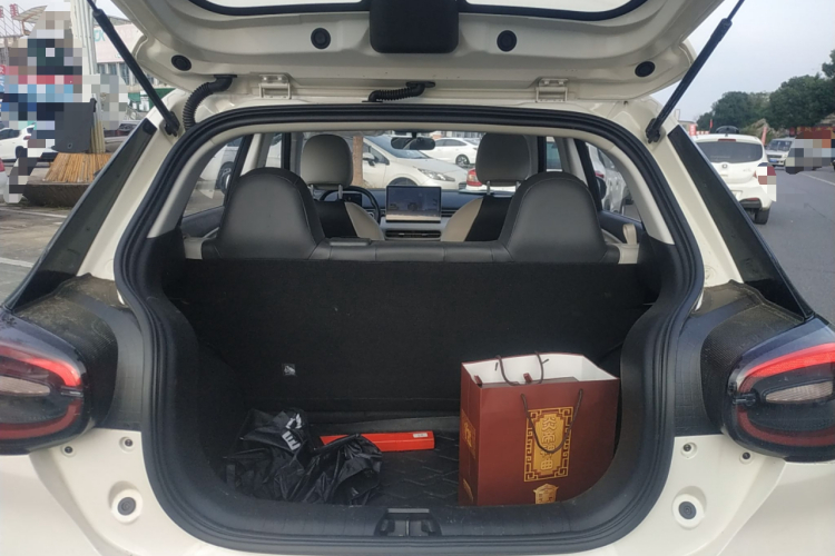 东风纳米 纳米01 2024款 焕新版 330 Air局部细节23