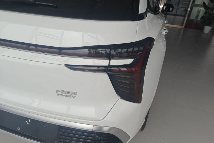 红旗HS3 PHEV 2024款 PHEV 115km 劲为版车身外观6006