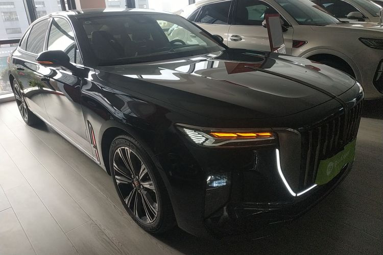 红旗H9 2024款 2.0T 旗畅 私享风尚版车身外观3