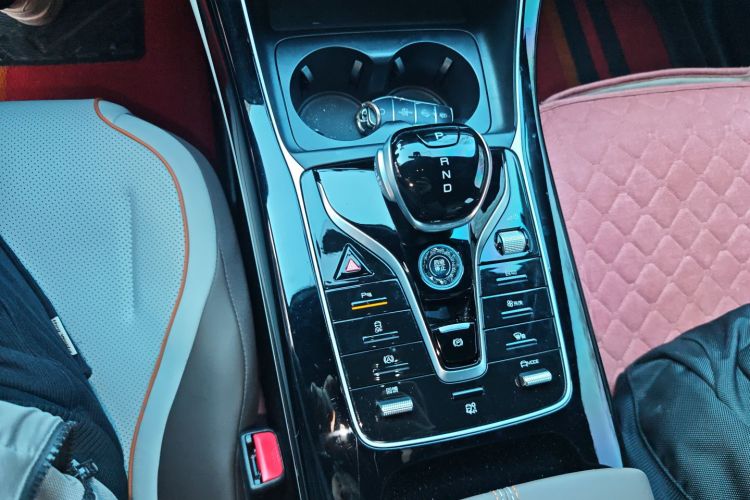比亚迪 秦PLUS 2024款 荣耀版 EV 510KM领先型局部细节18