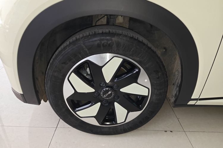 比亚迪 海豚 2024款 荣耀版 420km 自由版车身外观6007