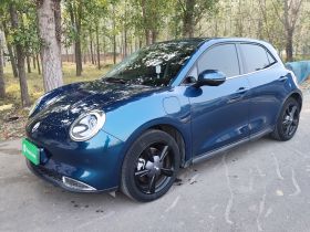 欧拉好猫 2021款 400km标准续航 雅典娜版 三元锂