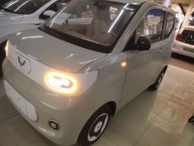 五菱汽车 宏光MINIEV 2024款 第三代 215km 青春版