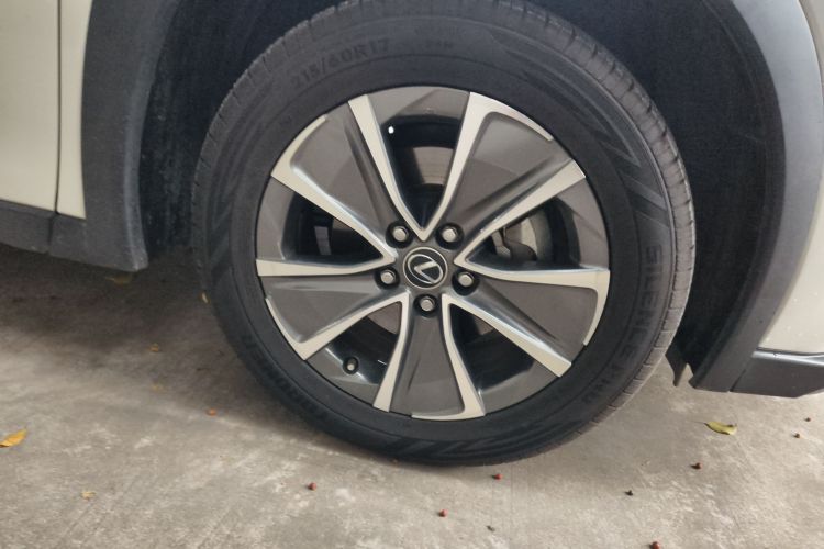 雷克萨斯UX新能源 2020款 300e 纯·悦版车身外观10