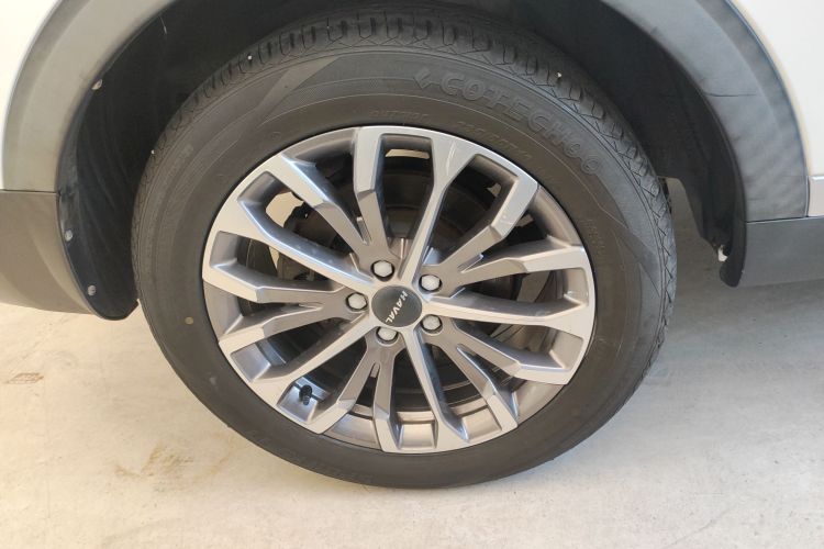 哈弗H6 2020款 1.5GDIT 自动铂金豪华版车身外观6008