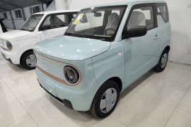 吉利银河 2024款 熊猫mini 200km 耐力熊