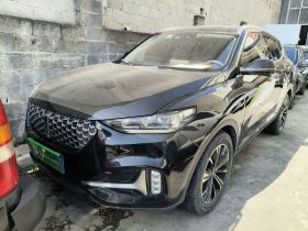 魏牌 VV6 2021款 2.0T 两驱智护+